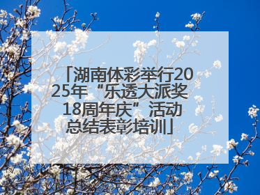 湖南体彩举行2025年“乐透大派奖 18周年庆”活动总结表彰培训
