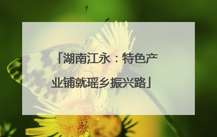 湖南江永：特色产业铺就瑶乡振兴路