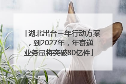 湖北出台三年行动方案，到2027年，年寄递业务量将突破80亿件