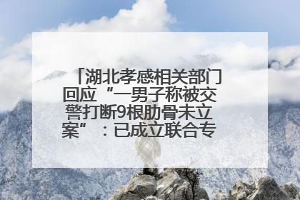 湖北孝感相关部门回应“一男子称被交警打断9根肋骨未立案”：已成立联合专班开展工作