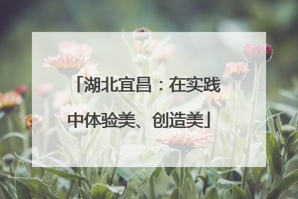 湖北宜昌：在实践中体验美、创造美