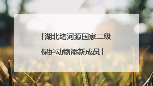 湖北堵河源国家二级保护动物添新成员