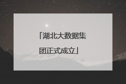 湖北大数据集团正式成立