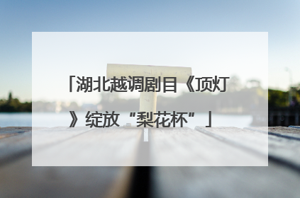 湖北越调剧目《顶灯》绽放“梨花杯”