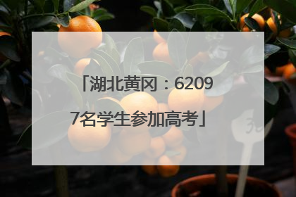 湖北黄冈：62097名学生参加高考