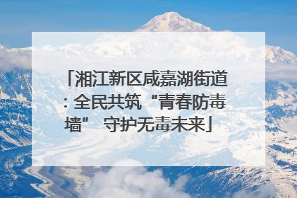 湘江新区咸嘉湖街道：全民共筑“青春防毒墙” 守护无毒未来