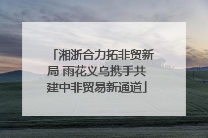 湘浙合力拓非贸新局 雨花义乌携手共建中非贸易新通道