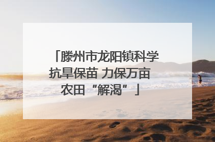 滕州市龙阳镇科学抗旱保苗 力保万亩农田“解渴”