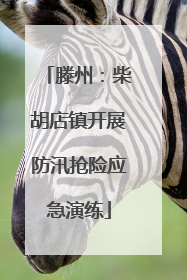 滕州：柴胡店镇开展防汛抢险应急演练