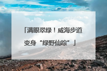 满眼翠绿！威海步道变身“绿野仙踪”