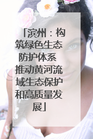 滨州：构筑绿色生态防护体系 推动黄河流域生态保护和高质量发展