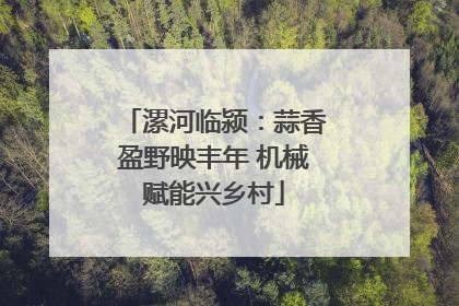漯河临颍：蒜香盈野映丰年 机械赋能兴乡村