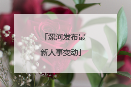 漯河发布最新人事变动