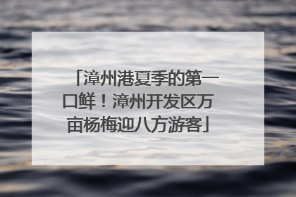 漳州港夏季的第一口鲜！漳州开发区万亩杨梅迎八方游客