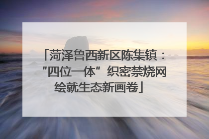 菏泽鲁西新区陈集镇：“四位一体”织密禁烧网 绘就生态新画卷