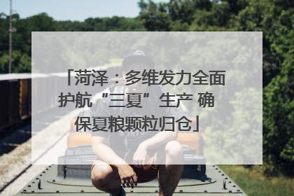 菏泽：多维发力全面护航“三夏”生产 确保夏粮颗粒归仓