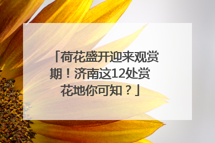荷花盛开迎来观赏期！济南这12处赏花地你可知？