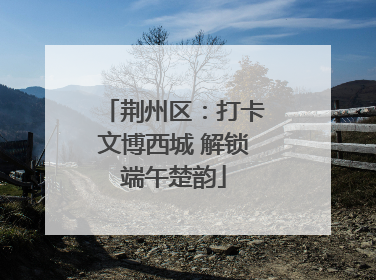 荆州区：打卡文博西城 解锁端午楚韵