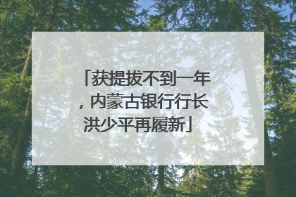 获提拔不到一年，内蒙古银行行长洪少平再履新