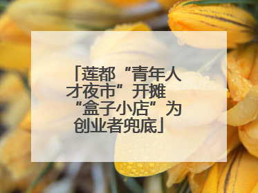 莲都“青年人才夜市”开摊 “盒子小店”为创业者兜底