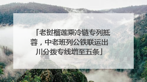 老挝榴莲乘冷链专列抵蓉，中老班列公铁联运出川分拨专线增至五条