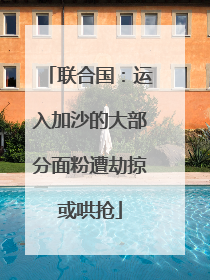 联合国：运入加沙的大部分面粉遭劫掠或哄抢