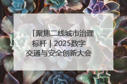 聚焦二线城市治理标杆｜2025数字交通与安全创新大会在保定隆重开幕
