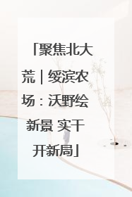 聚焦北大荒｜绥滨农场：沃野绘新景 实干开新局