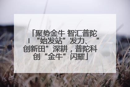 聚势金牛 智汇普陀〡“始发站”发力、“创新田”深耕，普陀科创“金牛”闪耀