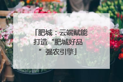 肥城：云端赋能 打造“肥城好品”强农引擎