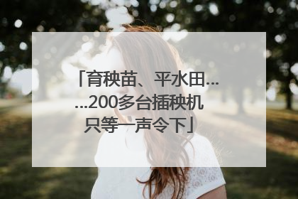 育秧苗、平水田……200多台插秧机只等一声令下