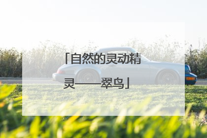 自然的灵动精灵——翠鸟