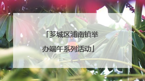 芗城区浦南镇举办端午系列活动