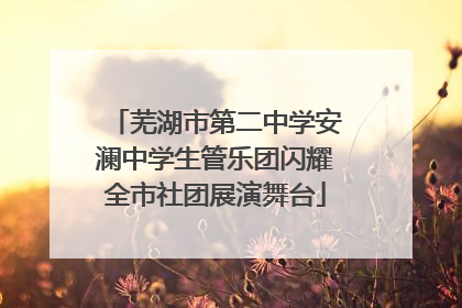 芜湖市第二中学安澜中学生管乐团闪耀全市社团展演舞台