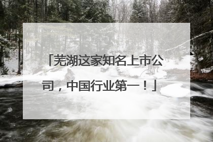 芜湖这家知名上市公司，中国行业第一！