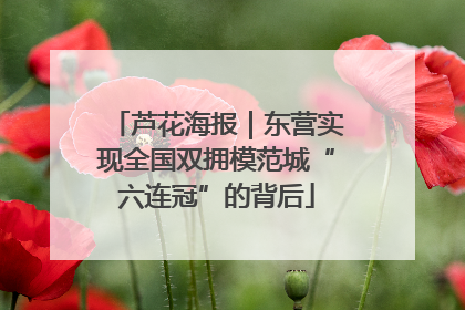 芦花海报｜东营实现全国双拥模范城“六连冠”的背后