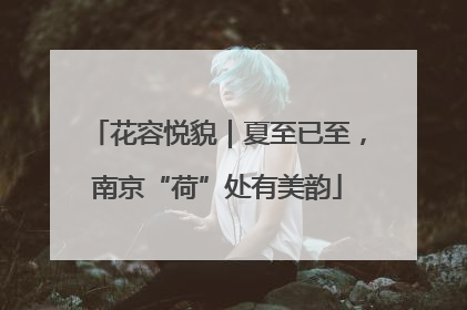 花容悦貌｜夏至已至，南京“荷”处有美韵