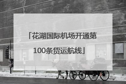 花湖国际机场开通第100条货运航线