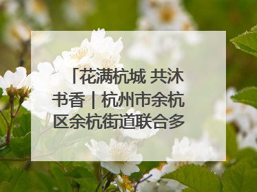 花满杭城 共沐书香｜杭州市余杭区余杭街道联合多方举办“书香换花香”活动