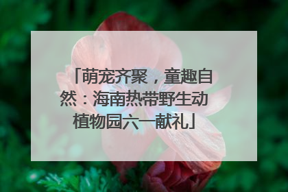萌宠齐聚，童趣自然：海南热带野生动植物园六一献礼