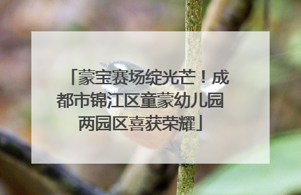 蒙宝赛场绽光芒！成都市锦江区童蒙幼儿园两园区喜获荣耀
