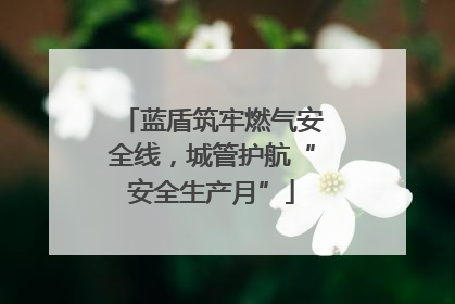 蓝盾筑牢燃气安全线，城管护航“安全生产月”