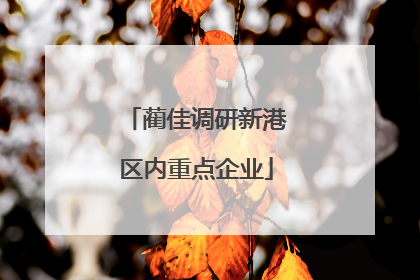 蔺佳调研新港区内重点企业