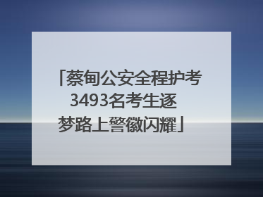 蔡甸公安全程护考 3493名考生逐梦路上警徽闪耀