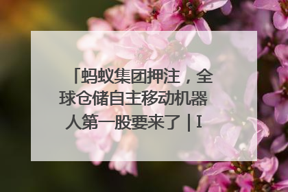 蚂蚁集团押注，全球仓储自主移动机器人第一股要来了｜IPO直通车