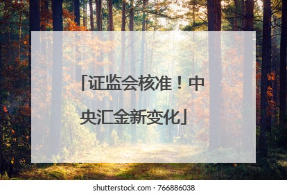 证监会核准！中央汇金新变化