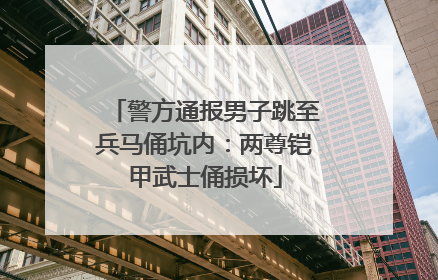 警方通报男子跳至兵马俑坑内：两尊铠甲武士俑损坏