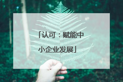 认可：赋能中小企业发展