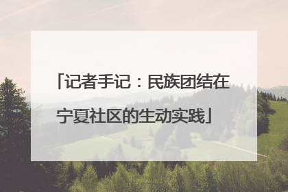 记者手记：民族团结在宁夏社区的生动实践