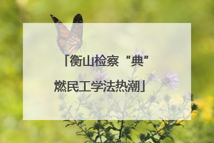衡山检察“典”燃民工学法热潮